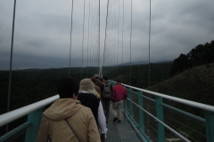 DSCN1849