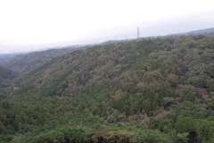 DSCN1850