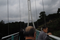 DSCN1868