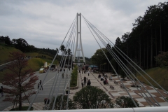 DSCN1870