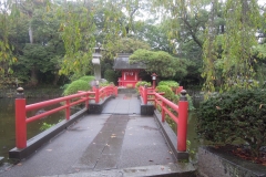 DSCN1880