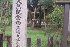 DSCN1882