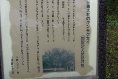 DSCN1887