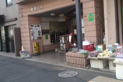 SN3S0137
